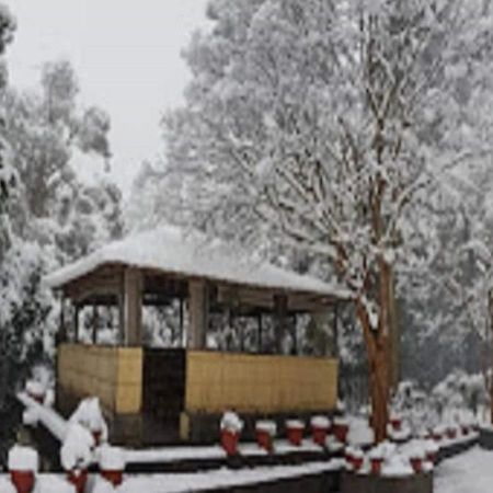 Hotel Chevron Rosemount Ranikhet Exterior foto